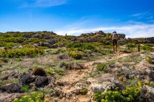 camping var activités