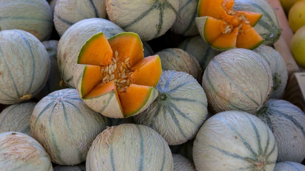 Melons de Cavaillon sur un étal de marché provençal