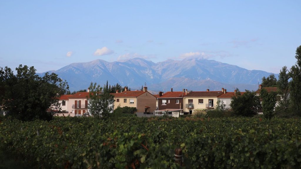Plage et vignobles de La Londe-les-Maures dans le Var