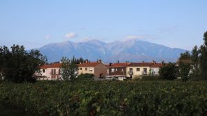 Plage et vignobles de La Londe-les-Maures dans le Var